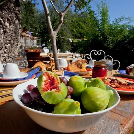 Casa Zafferano 알벤가