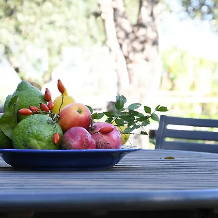 컨트리하우스 Casa Zafferano