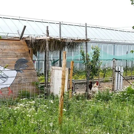 Casa Zafferano * 알벤가