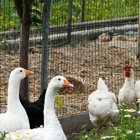 Casa Zafferano 알벤가