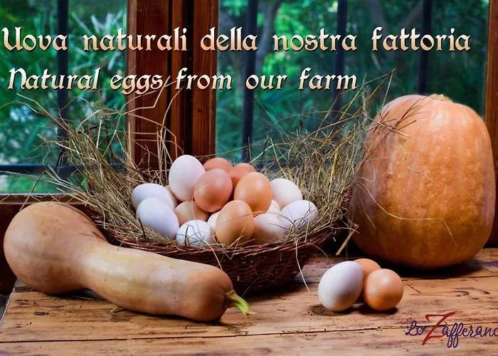 Casa rural Casa Zafferano *