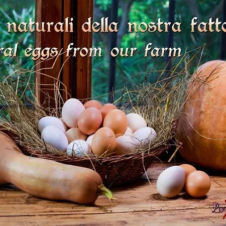 Casa di campagna Casa Zafferano *