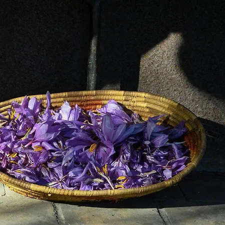 Landhaus Casa Zafferano Albenga