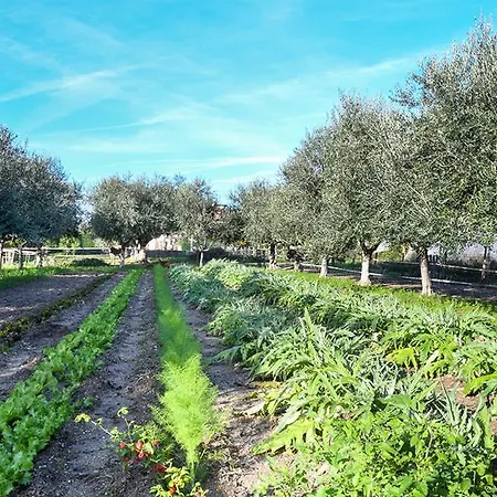 Casa Zafferano Landhaus